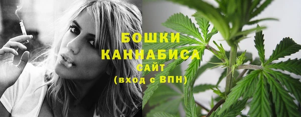 дмт Осинники